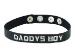 Sm Collar-daddys Boy