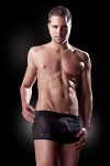 Fetish Fantasy Male See Thru Boxer S/m(wd)