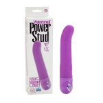 Power Stud G W/p Purple