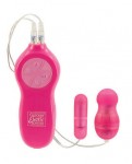 Passion Bullets Pink Slim & Mini Probe