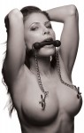 Ms Equine Silicone Bit Gag W/nipple Clamps